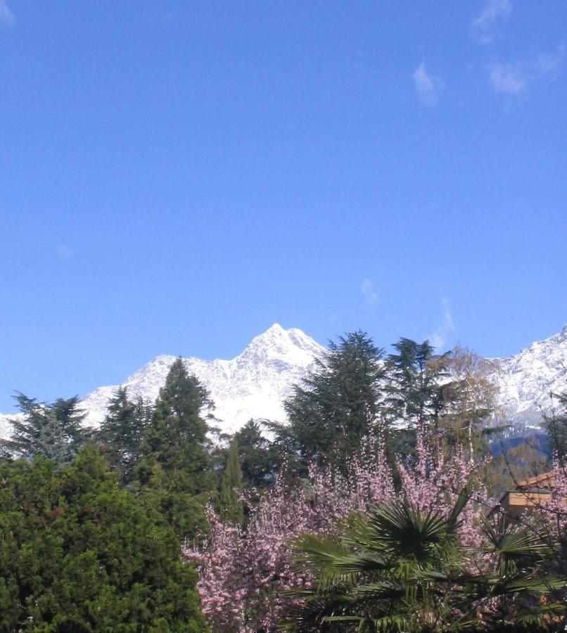 Hotel Zima Merano Exteriör bild